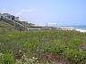 p7100023.jpg